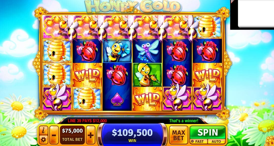 honey gold slot game