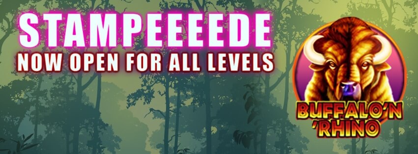 Buffalo ‘n’ Rhino Slot